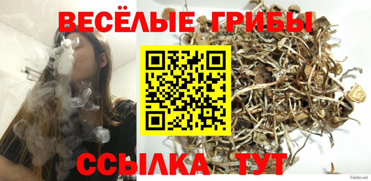 Псилоцибиновые грибы Cubensis  Псилоцибиновые грибы мухоморы  Учалы  Вход с VPN 