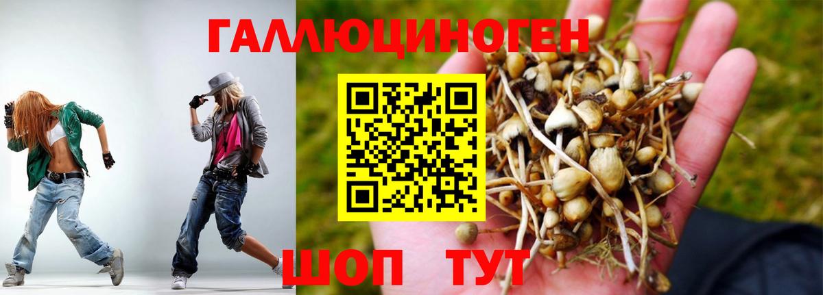 Галлюциногенные грибы Psilocybe Учалы